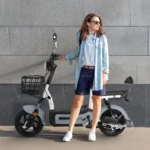 motobici-electrica-honey-whale-u1s-gris-07