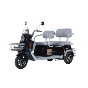 trimoto-electrica-honey-whale-hn-n9-negro-01