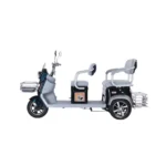 trimoto-electrica-honey-whale-hn-n9-negro-02
