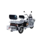 trimoto-electrica-honey-whale-hn-n9-negro-04